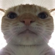 NotThatUwU