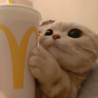 paydog