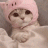 Cattoo