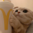 paydog