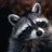 raccooner