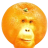 lolinfo
